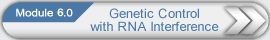 利用RNA干扰进行遗传控制